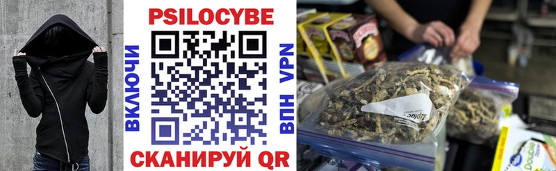 Псилоцибиновые грибы Cubensis  Чебоксары 