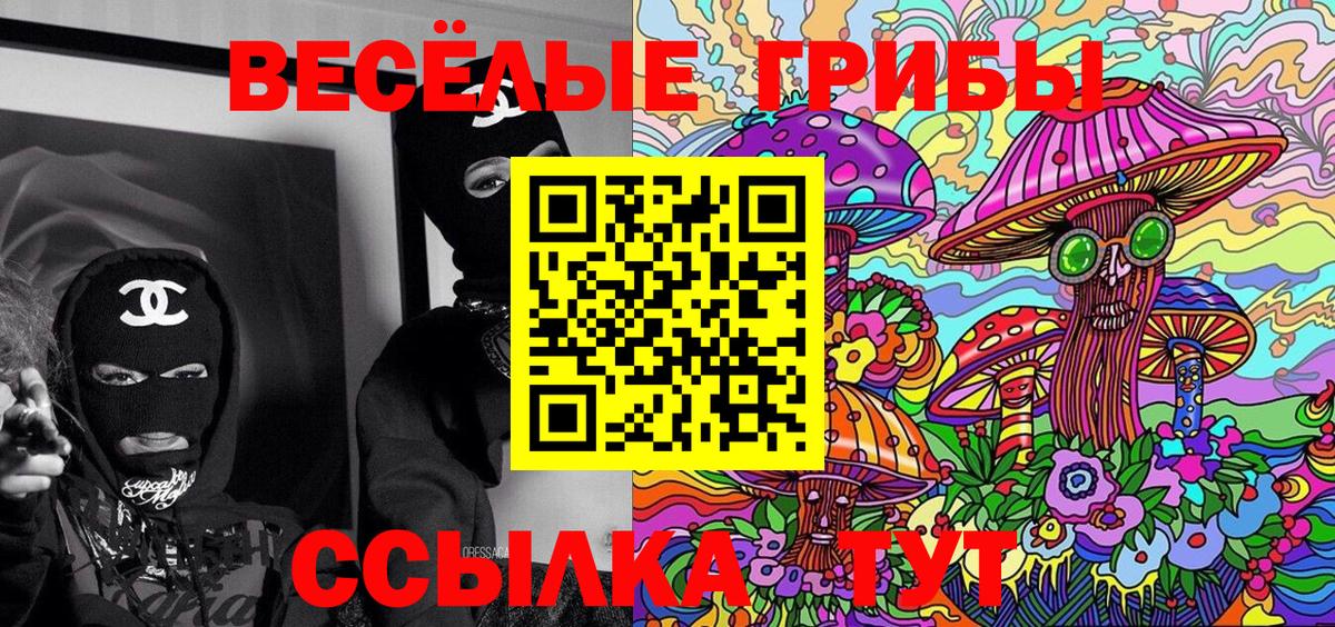 Галлюциногенные грибы прущие грибы Чебоксары