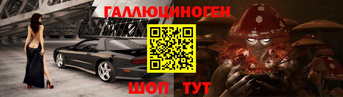 Чебоксары  Галлюциногенные грибы Cubensis  Вход с VPN 